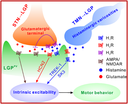 17585163409963.png 17585163258442.png