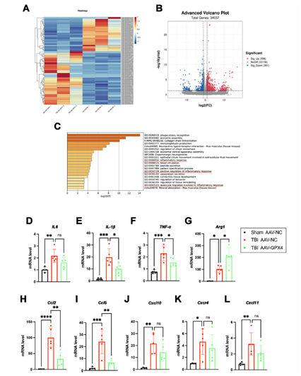 17585206139424.png image.png