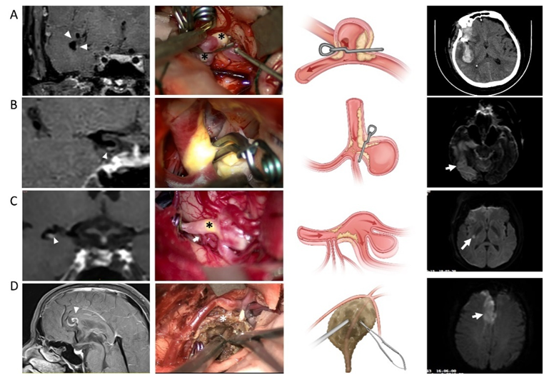 17585209639489.png image.png