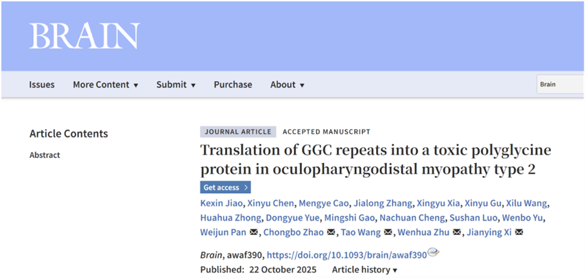 17623959542610.png image.png