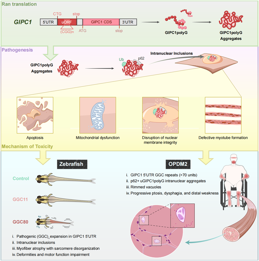 17623960072146.png image.png