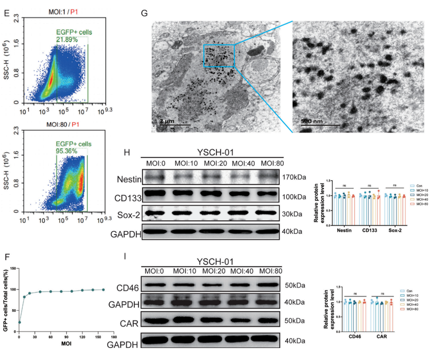 17630835059580.png image.png