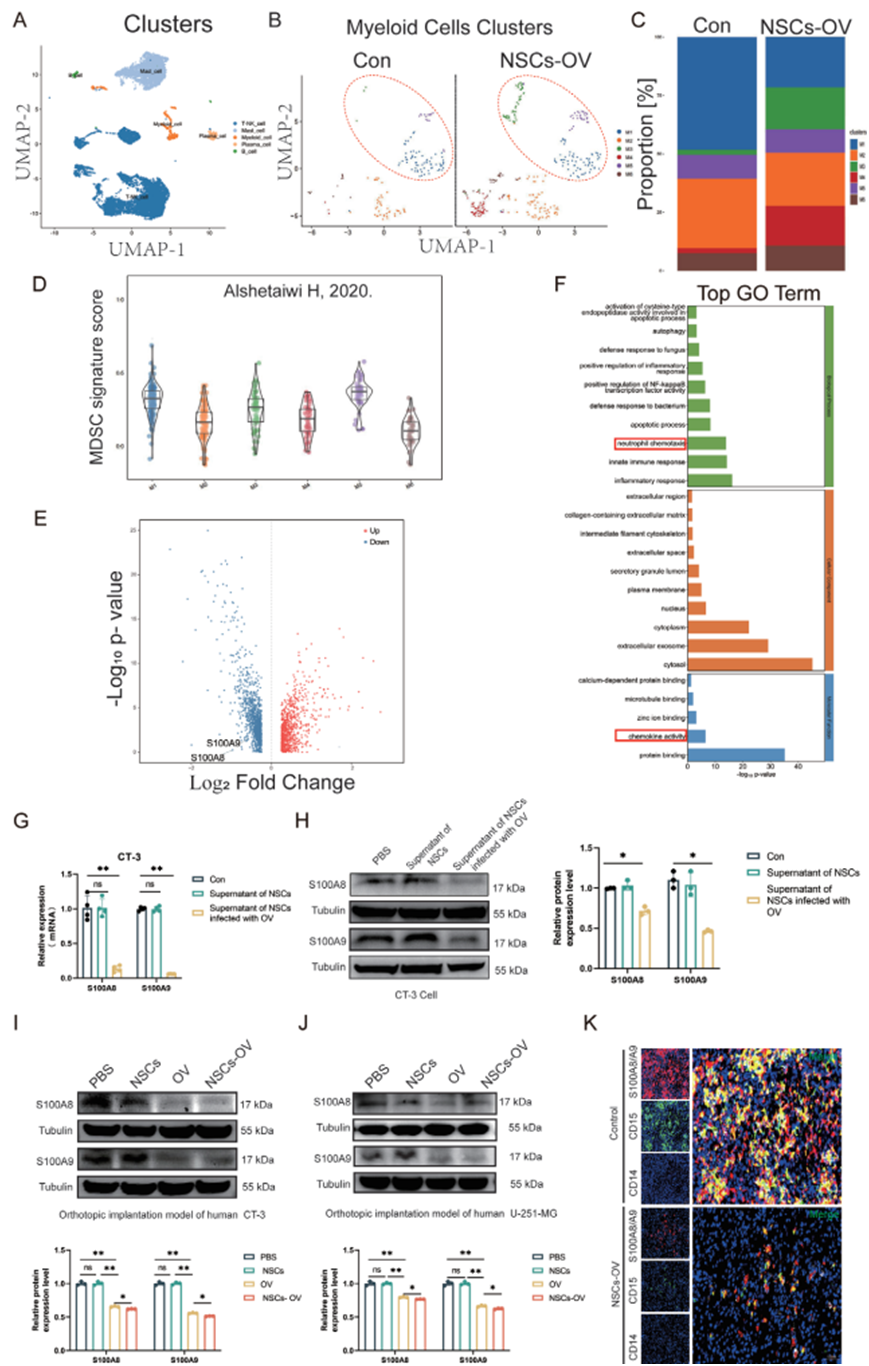 17630846951151.png image.png