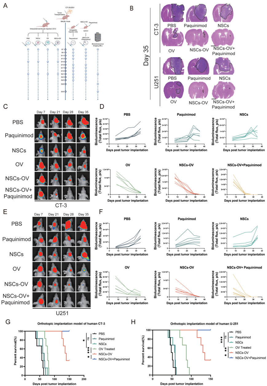 17630847157613.png image.png