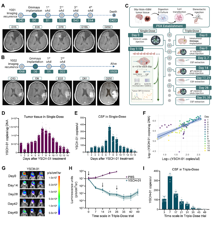 17685439775201.png image.png