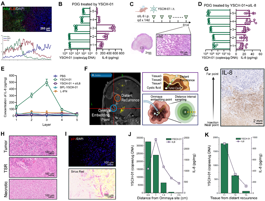 17685439951583.png image.png