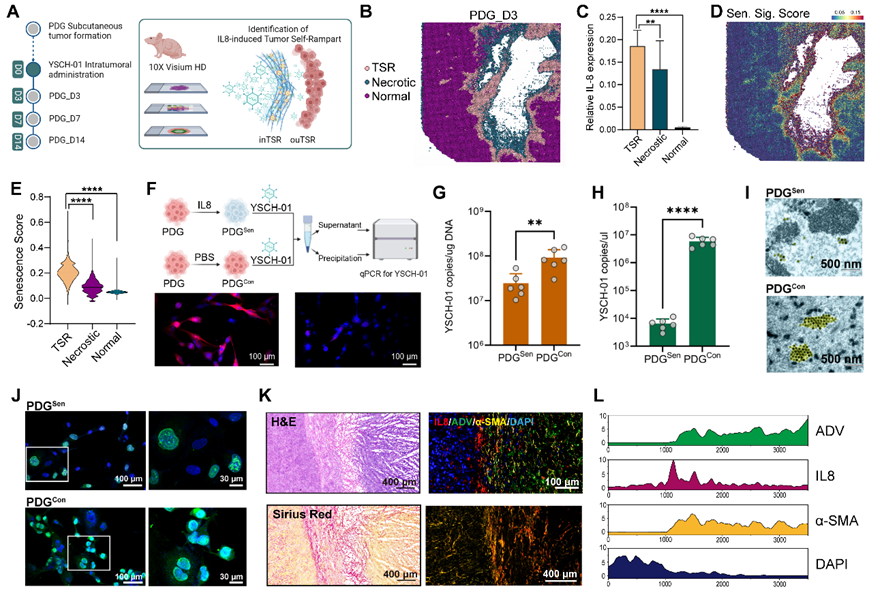 17685440085414.png image.png