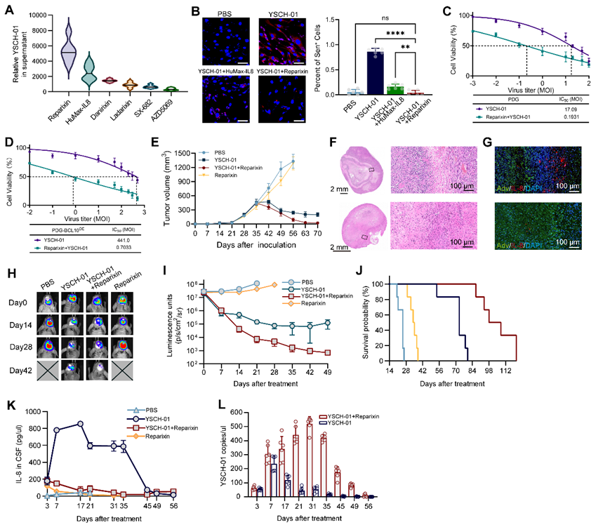 17685440232473.png image.png