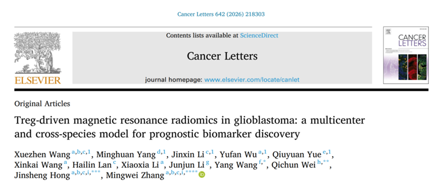 17733654651525.png image.png