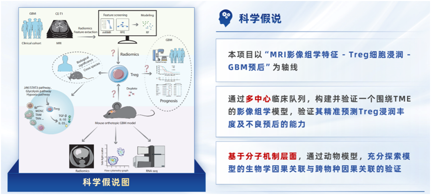 17733655134603.png image.png