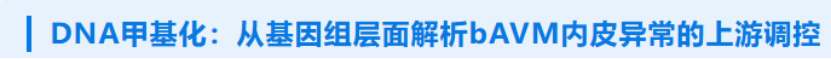 17839255489414.png