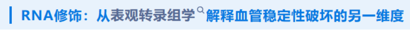 17839257811980.png