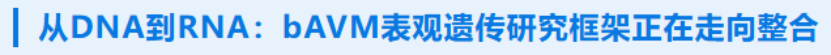 17839259619861.png