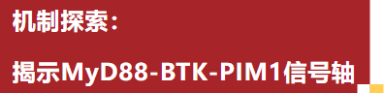 17839271368769.png